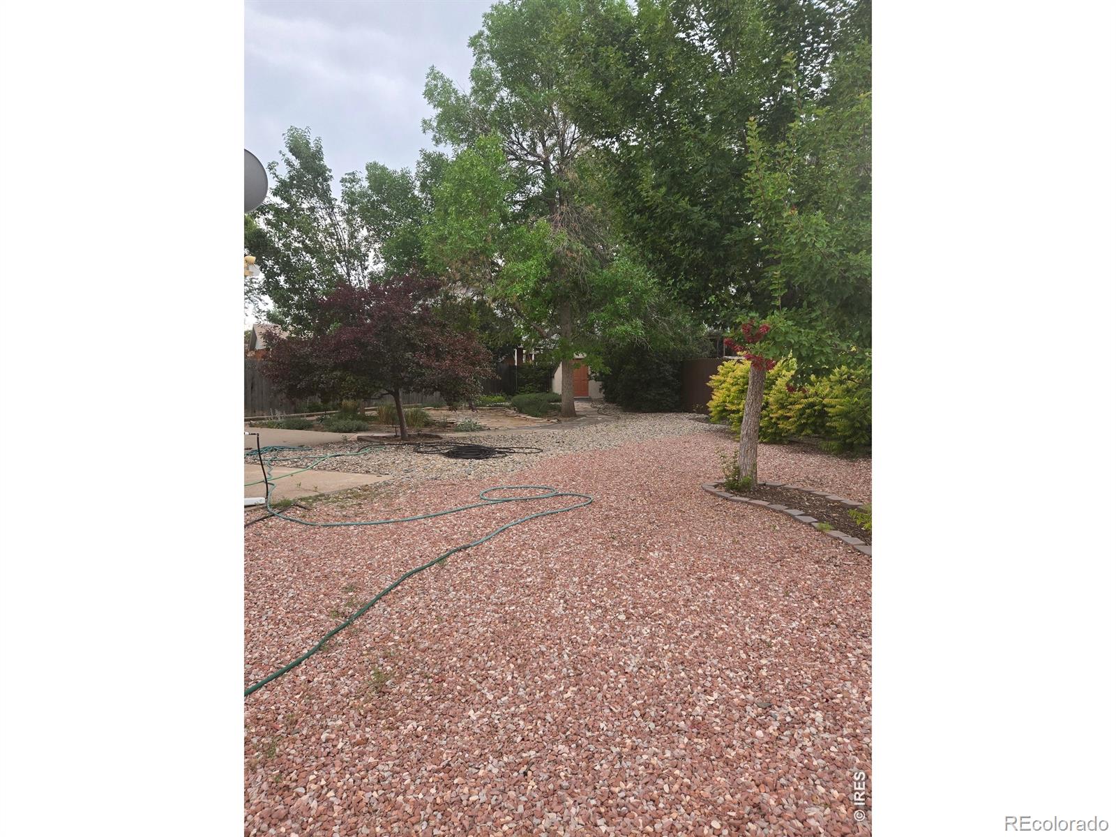 MLS Image #3 for 3659  butternut drive,loveland, Colorado