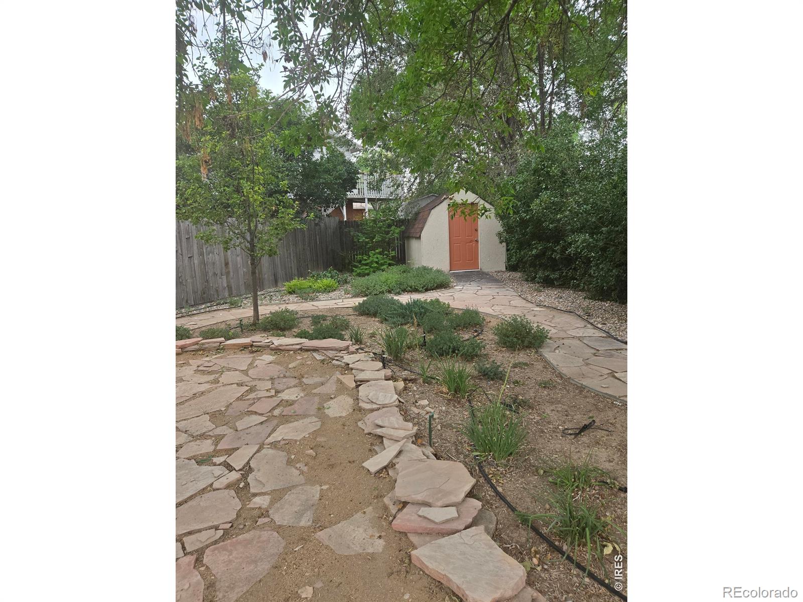 MLS Image #6 for 3659  butternut drive,loveland, Colorado