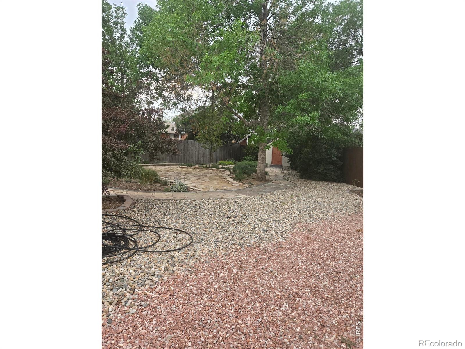 MLS Image #7 for 3659  butternut drive,loveland, Colorado