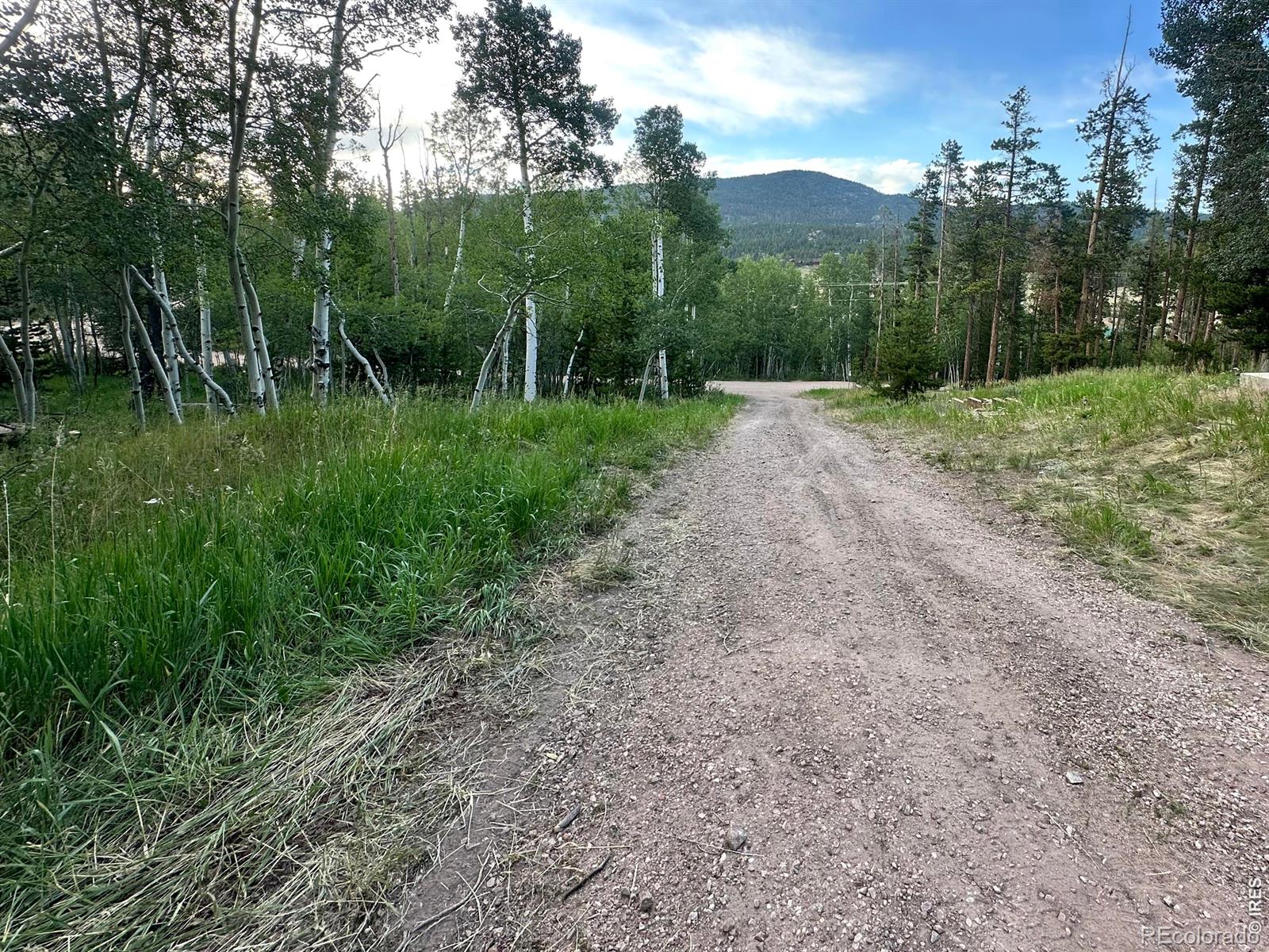 MLS Image #22 for 401  blackfoot road,red feather lakes, Colorado
