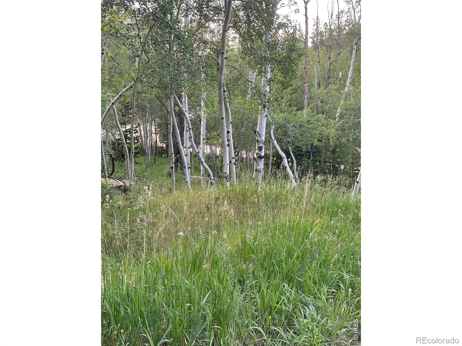 MLS Image #23 for 401  blackfoot road,red feather lakes, Colorado