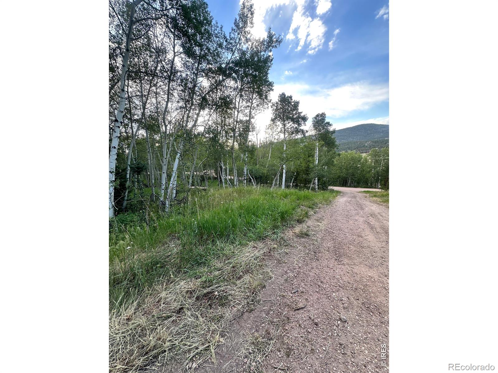 MLS Image #24 for 401  blackfoot road,red feather lakes, Colorado