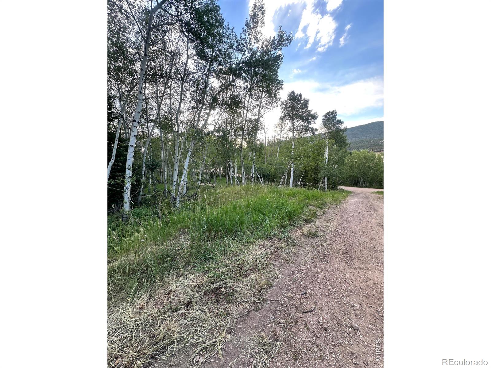 MLS Image #25 for 401  blackfoot road,red feather lakes, Colorado