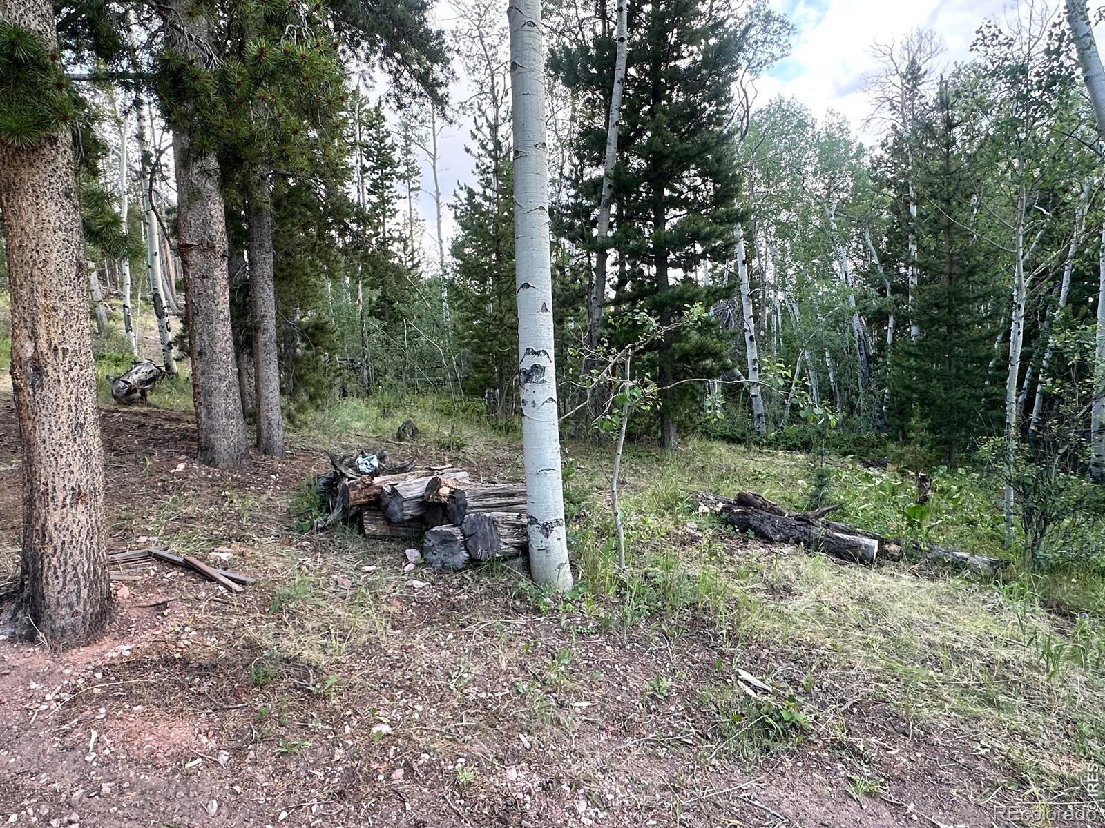 MLS Image #26 for 401  blackfoot road,red feather lakes, Colorado