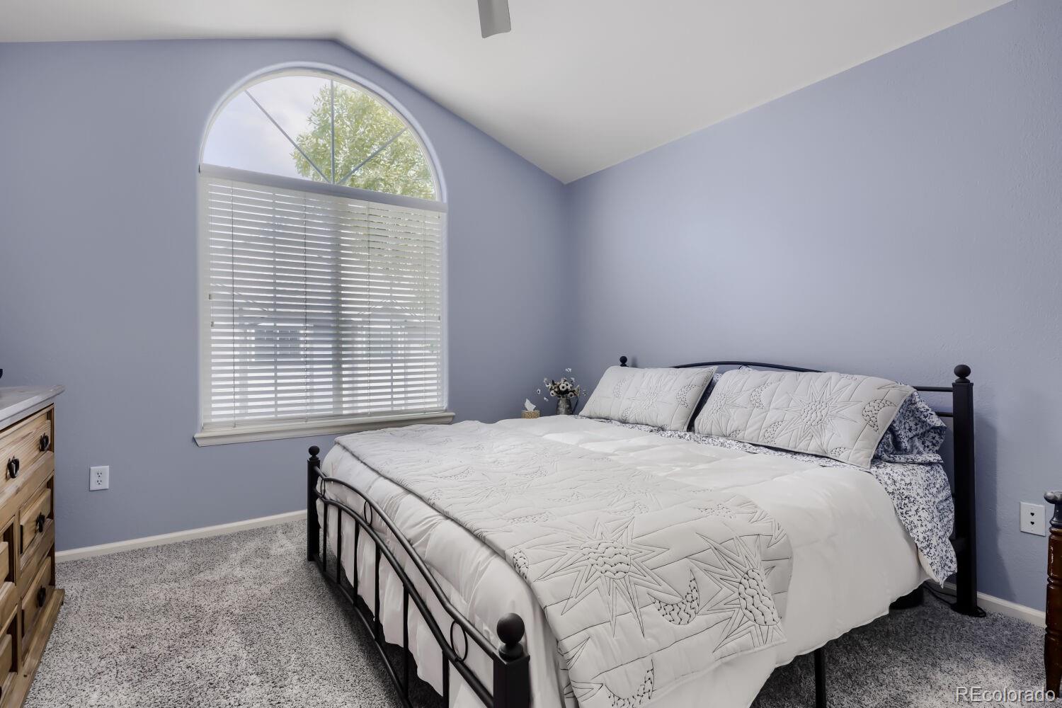 MLS Image #15 for 3272 e 103rd drive,thornton, Colorado