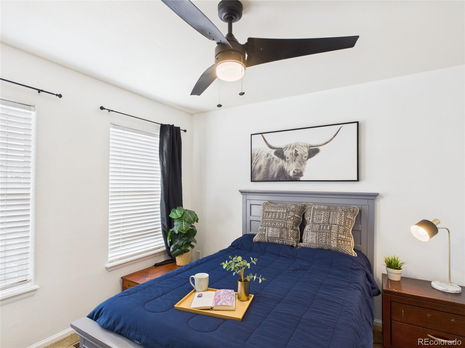 MLS Image #6 for 474  black feather loop,castle rock, Colorado