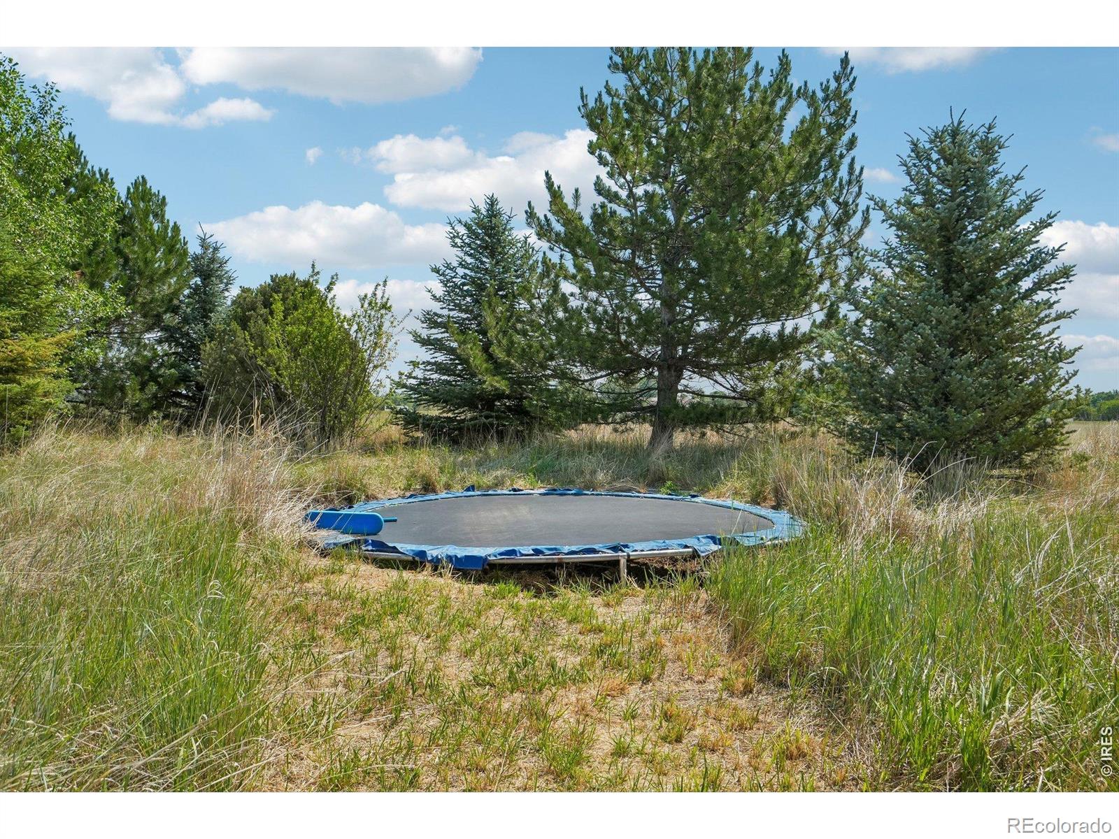 MLS Image #38 for 1030  berthoud peak drive,berthoud, Colorado