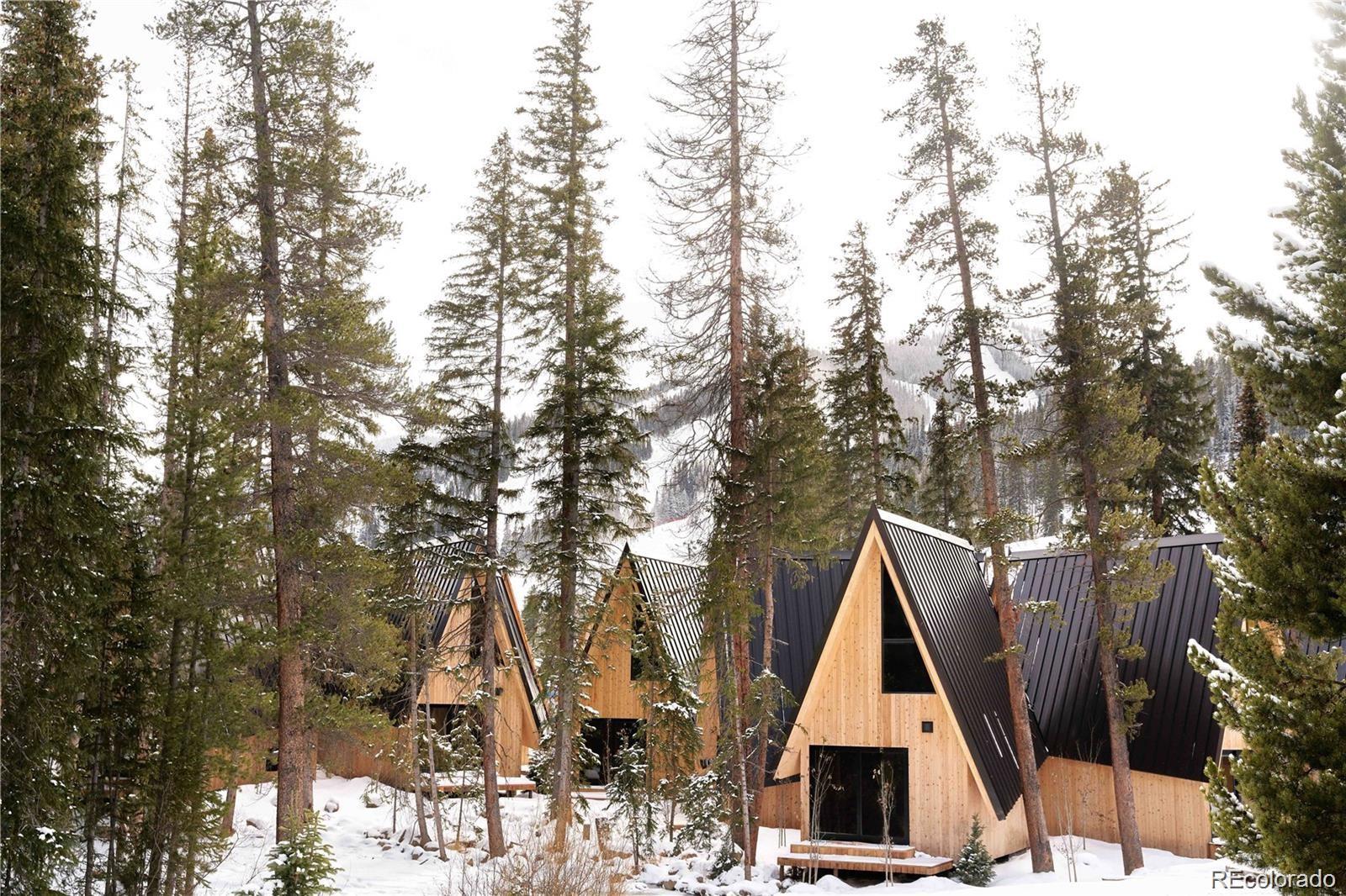 MLS Image #19 for 1008  winter park drive,winter park, Colorado