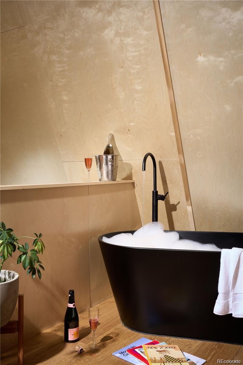 MLS Image #8 for 1008  winter park drive,winter park, Colorado