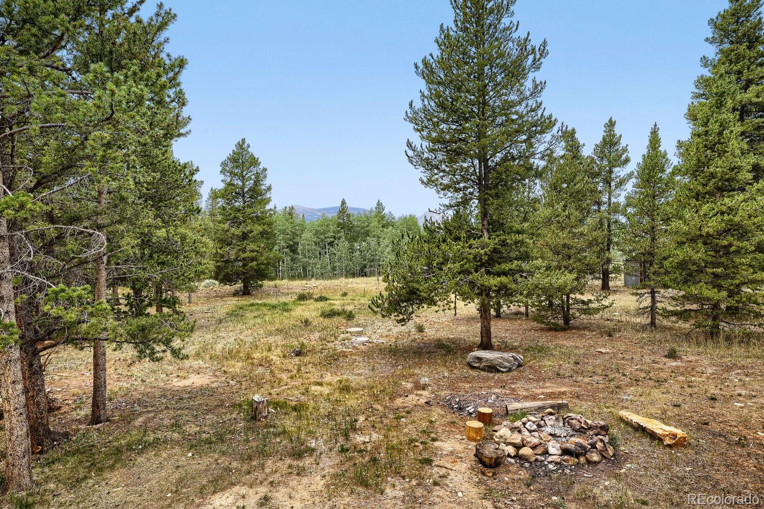 MLS Image #28 for 93  prospect drive,alma, Colorado