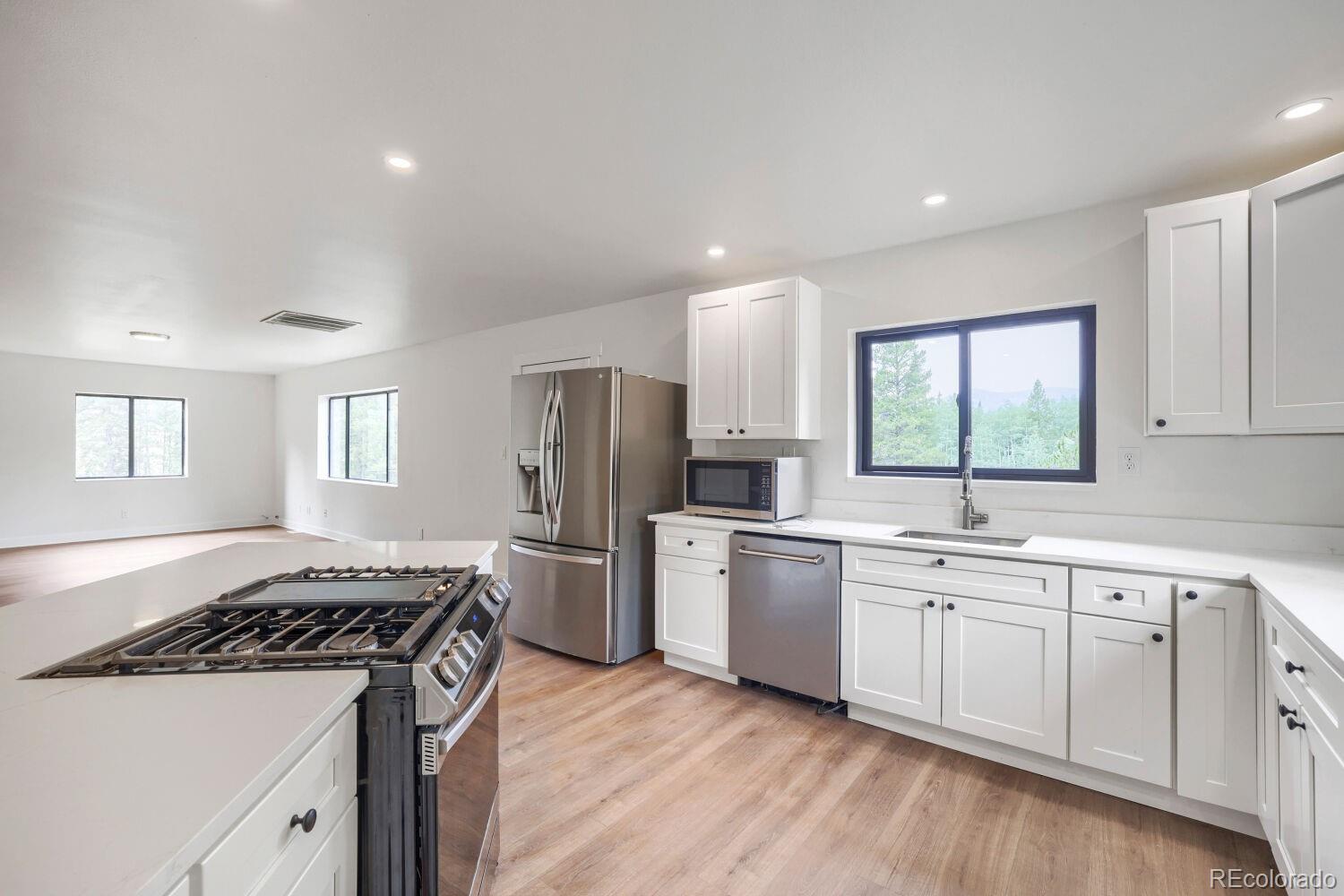 MLS Image #5 for 93  prospect drive,alma, Colorado