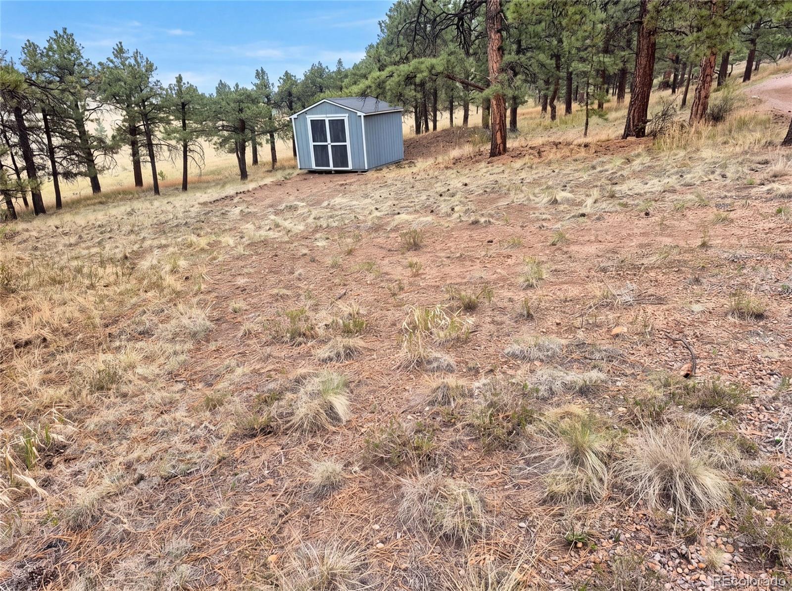 MLS Image #13 for 113  blackberry court,westcliffe, Colorado