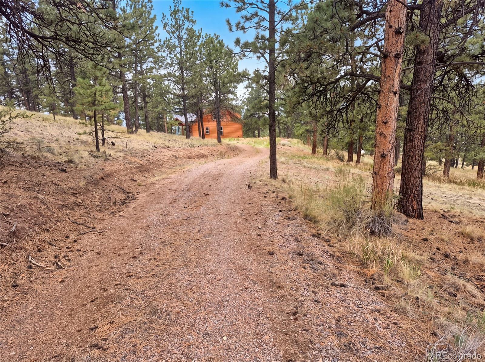 MLS Image #14 for 113  blackberry court,westcliffe, Colorado