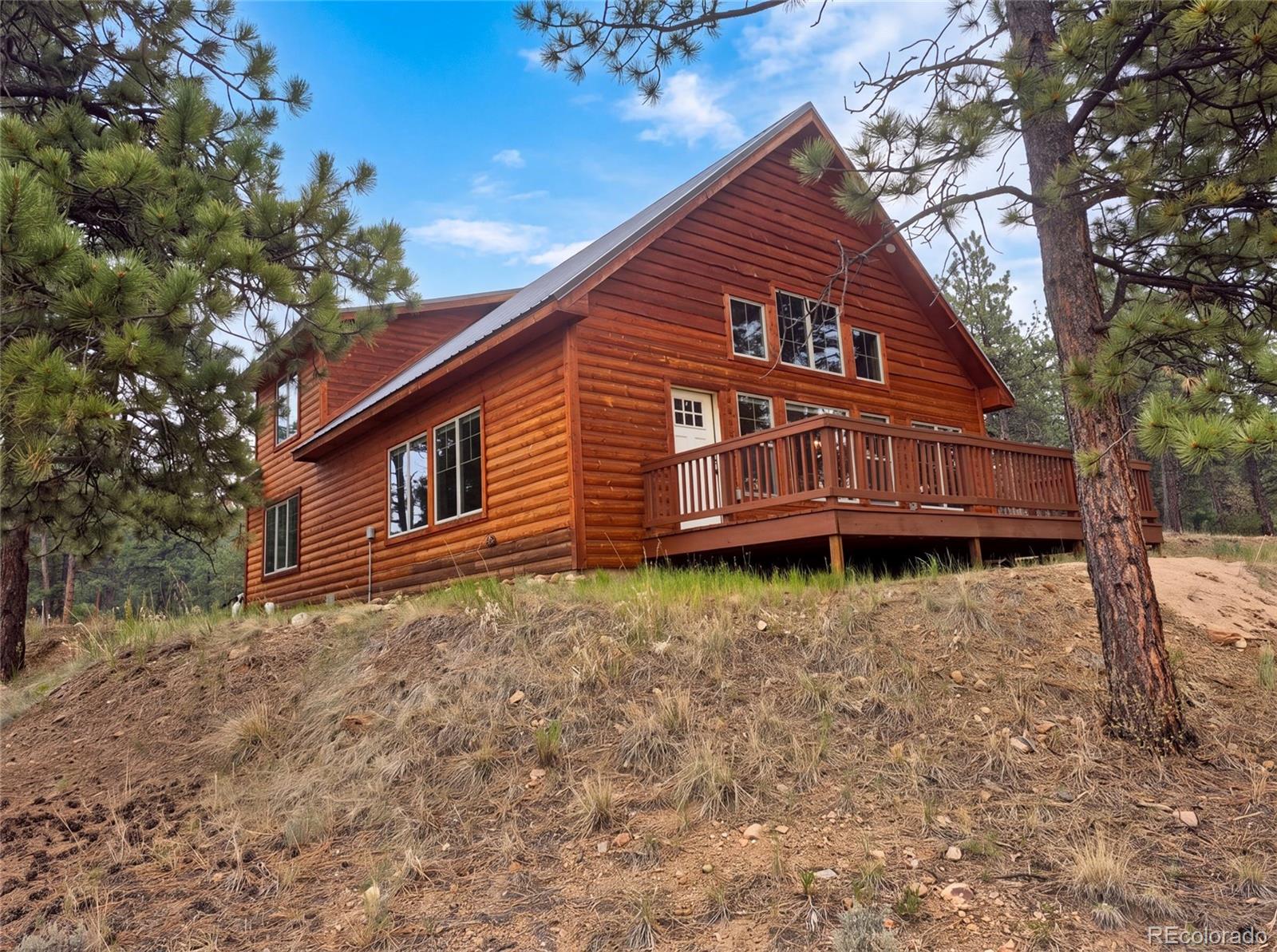 MLS Image #4 for 113  blackberry court,westcliffe, Colorado