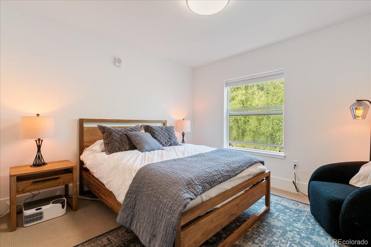 MLS Image #16 for 1044  blue river parkway,silverthorne, Colorado