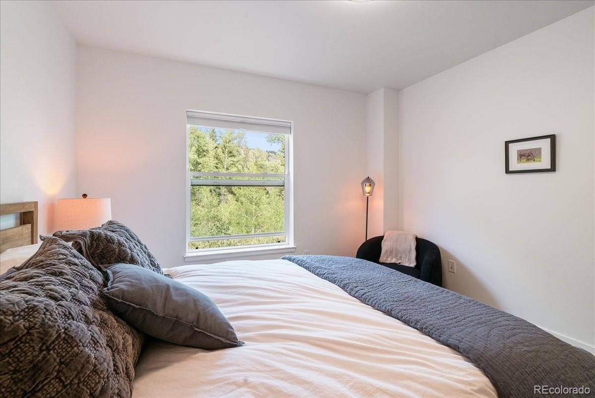MLS Image #17 for 1044  blue river parkway,silverthorne, Colorado