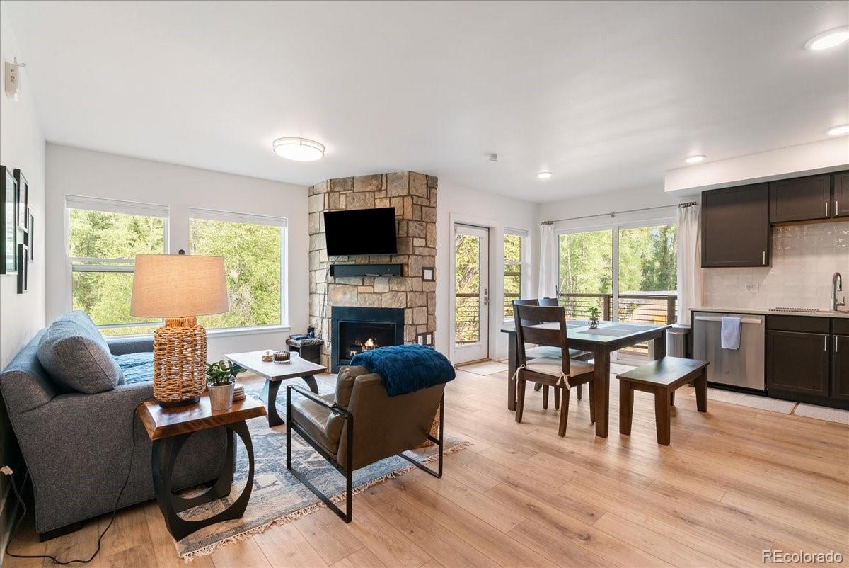 MLS Image #3 for 1044  blue river parkway,silverthorne, Colorado