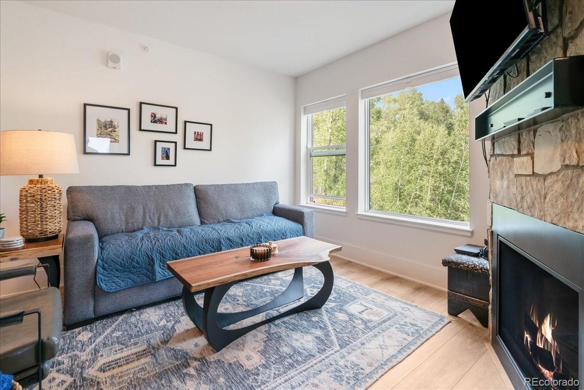MLS Image #6 for 1044  blue river parkway,silverthorne, Colorado