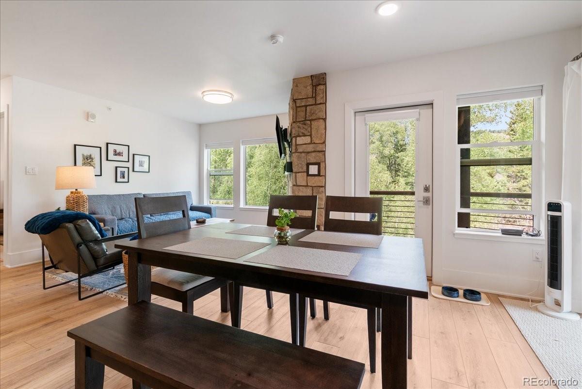 MLS Image #7 for 1044  blue river parkway,silverthorne, Colorado
