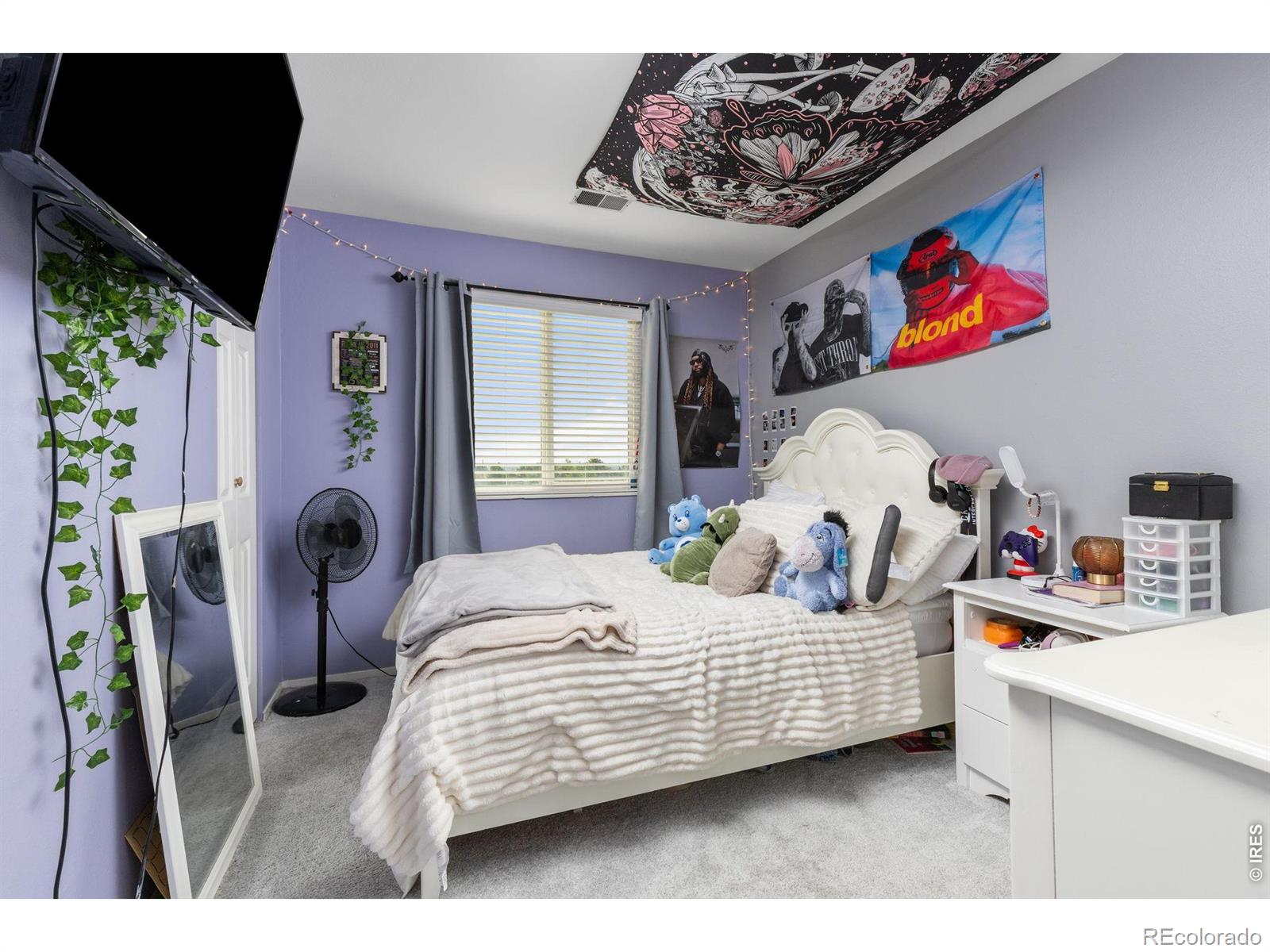 MLS Image #18 for 11209  holly street,thornton, Colorado