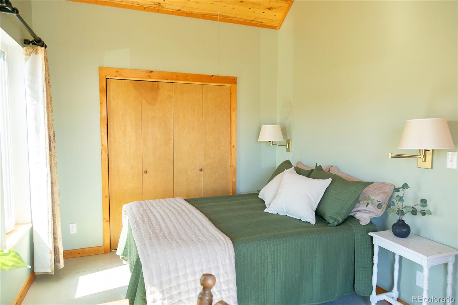 MLS Image #18 for 301  rue la fong lane,creede, Colorado