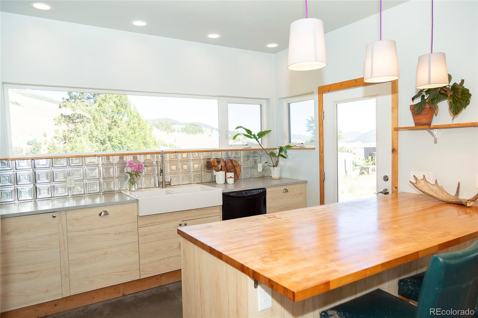 MLS Image #4 for 301  rue la fong lane,creede, Colorado