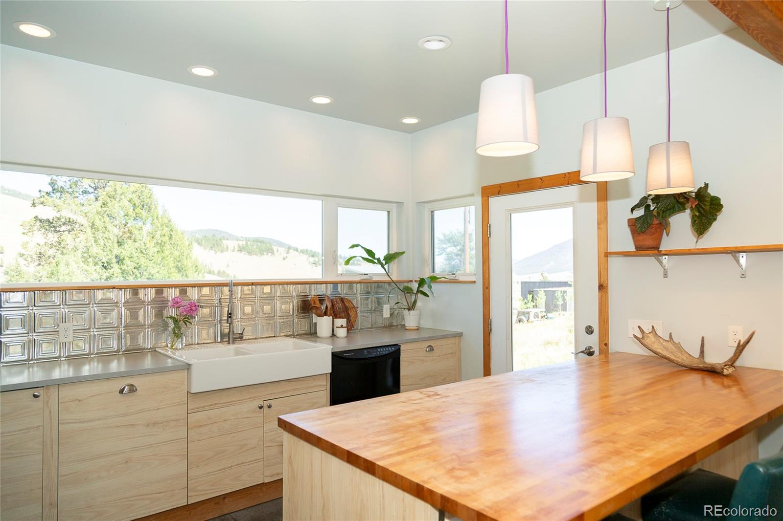 MLS Image #9 for 301  rue la fong lane,creede, Colorado