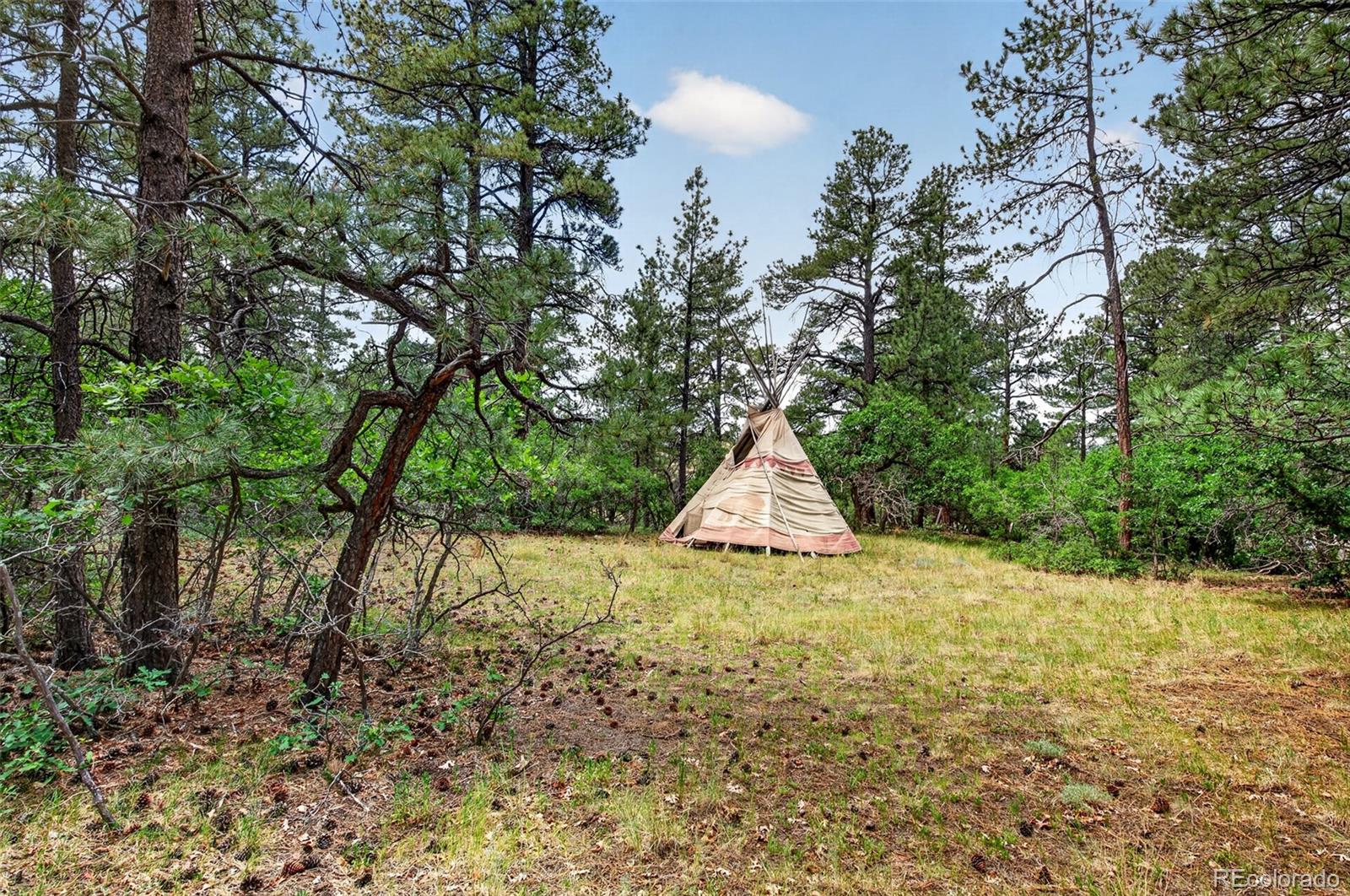 MLS Image #27 for 11934 e buckhorn way,franktown, Colorado