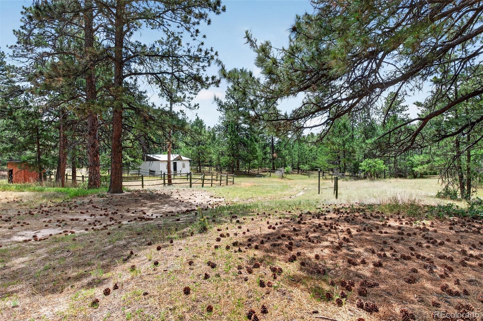 MLS Image #28 for 11934 e buckhorn way,franktown, Colorado