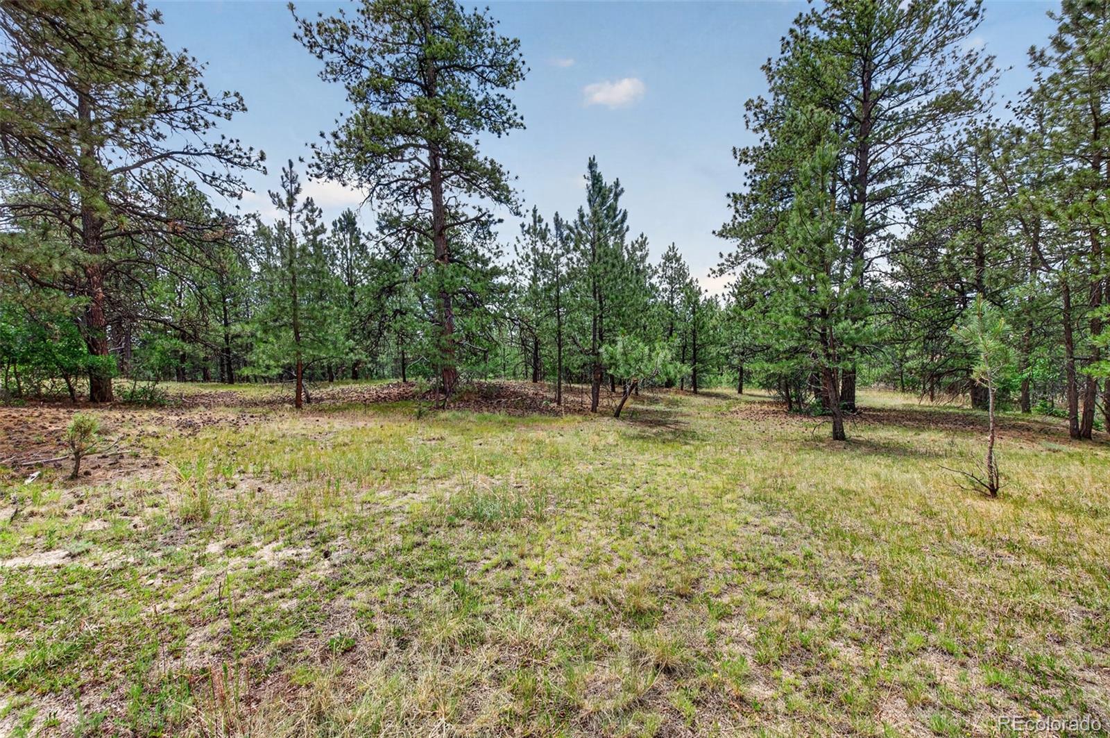MLS Image #30 for 11934 e buckhorn way,franktown, Colorado