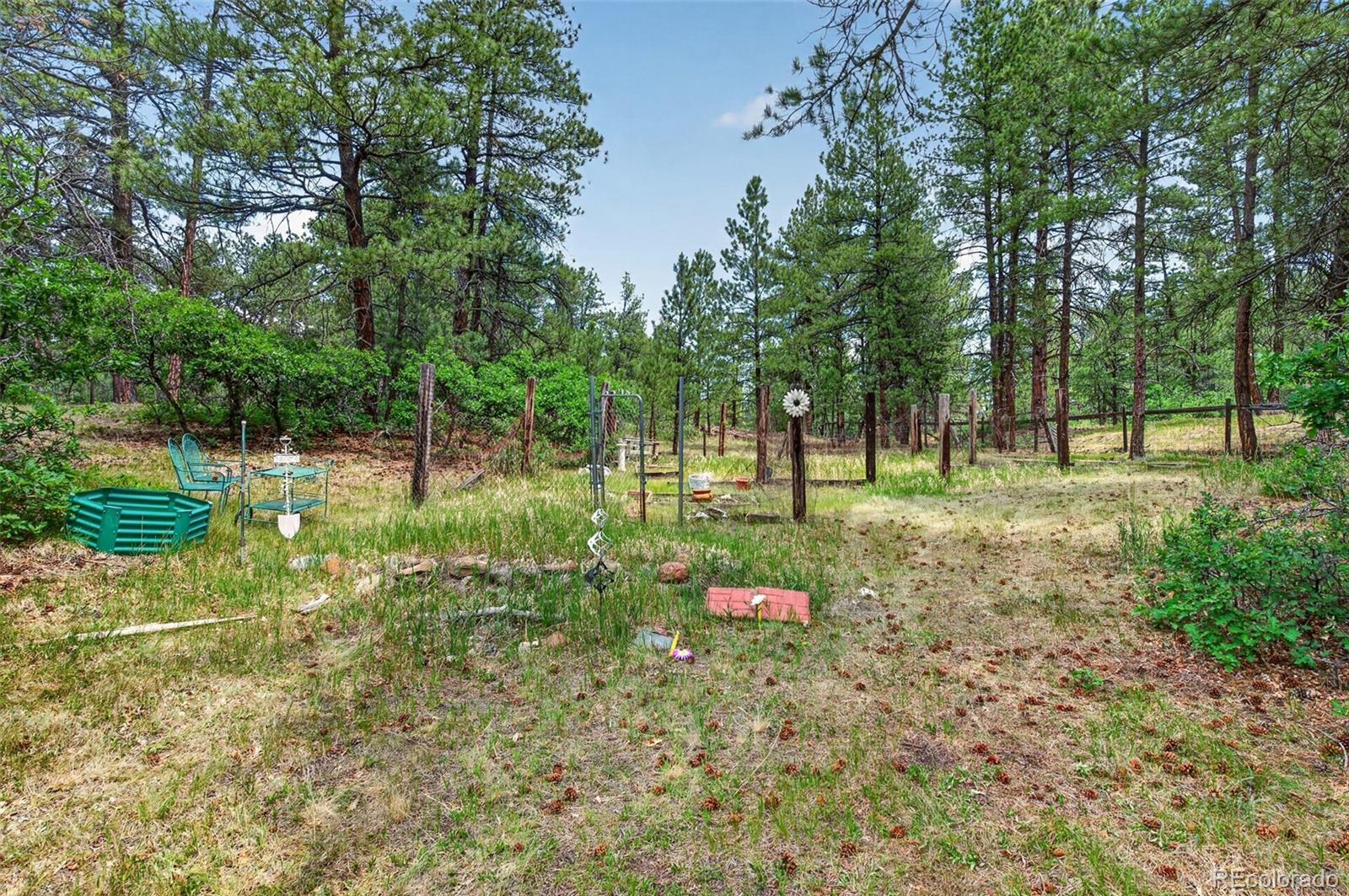 MLS Image #37 for 11934 e buckhorn way,franktown, Colorado