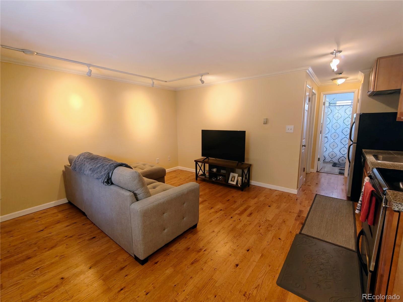 MLS Image #10 for 1135 n elizabeth street,denver, Colorado