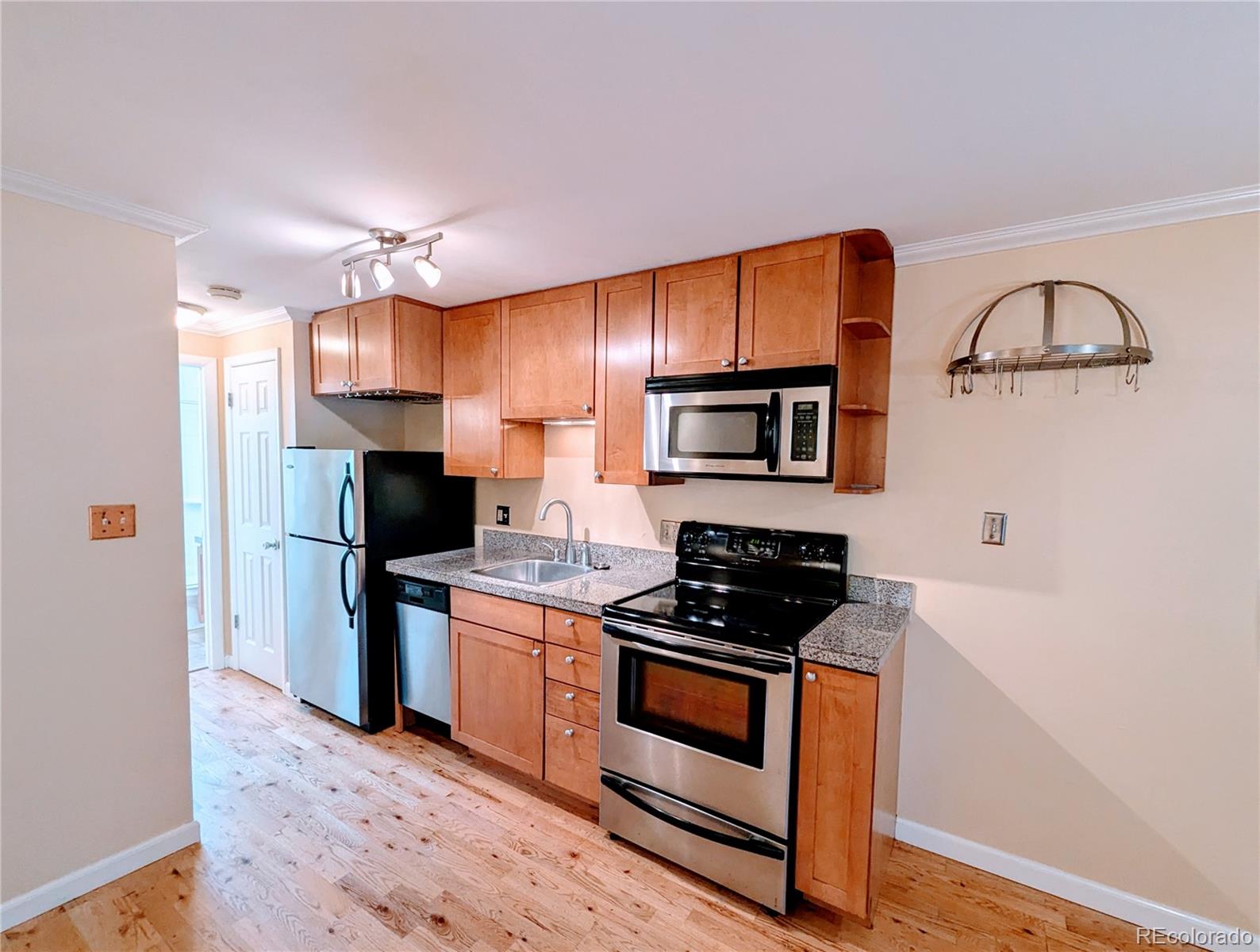 MLS Image #2 for 1135 n elizabeth street,denver, Colorado