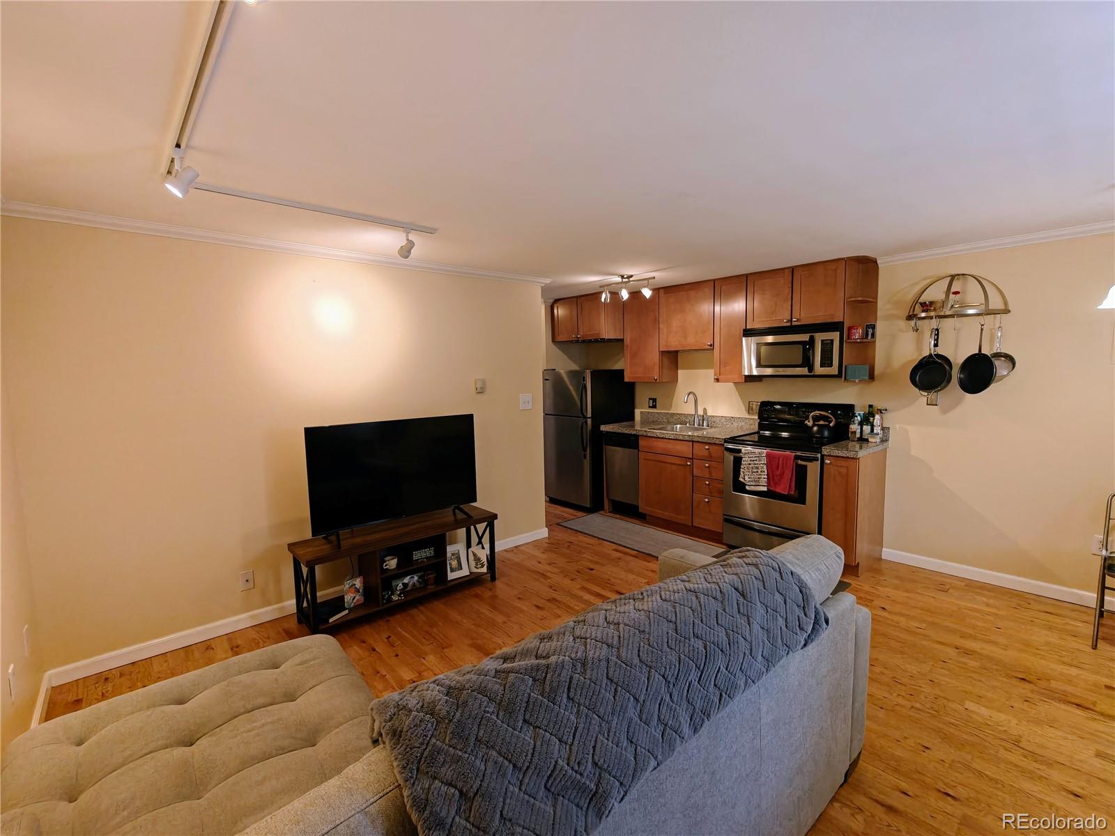 MLS Image #3 for 1135 n elizabeth street,denver, Colorado