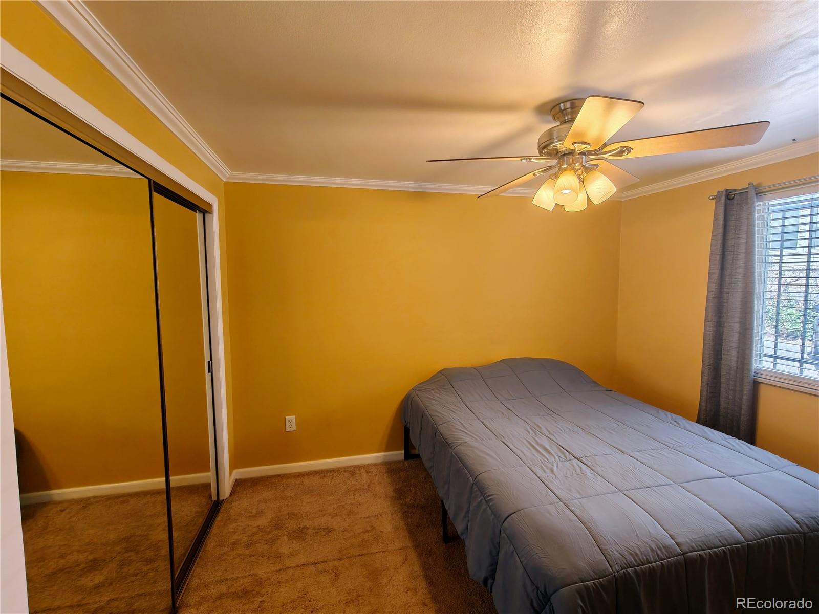 MLS Image #6 for 1135 n elizabeth street,denver, Colorado