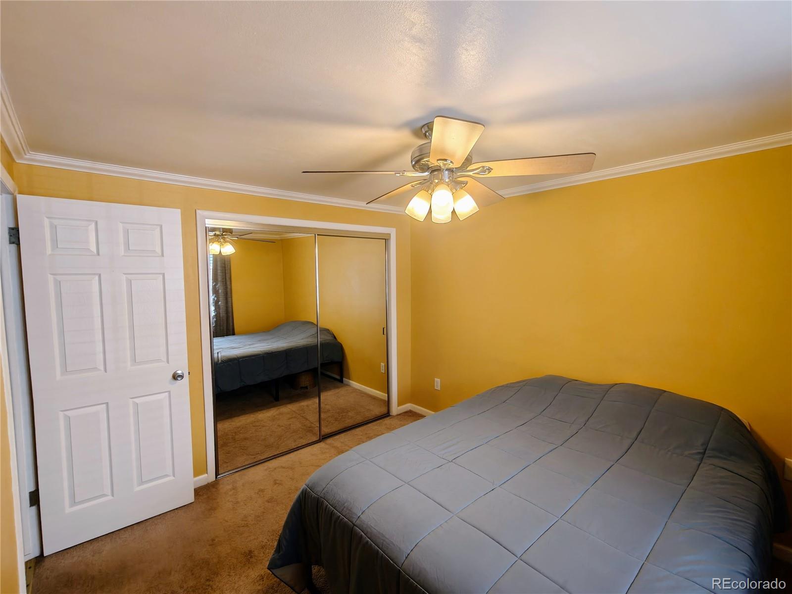 MLS Image #7 for 1135 n elizabeth street,denver, Colorado