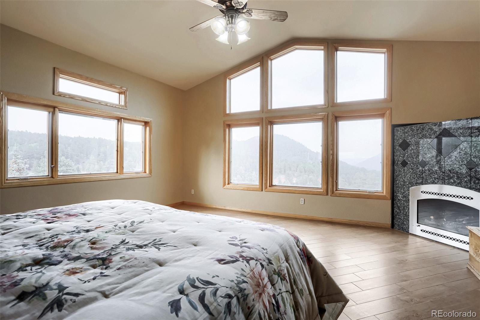 MLS Image #19 for 15479  ouray road,pine, Colorado