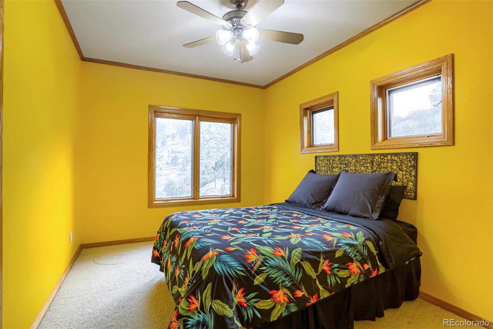 MLS Image #26 for 15479  ouray road,pine, Colorado