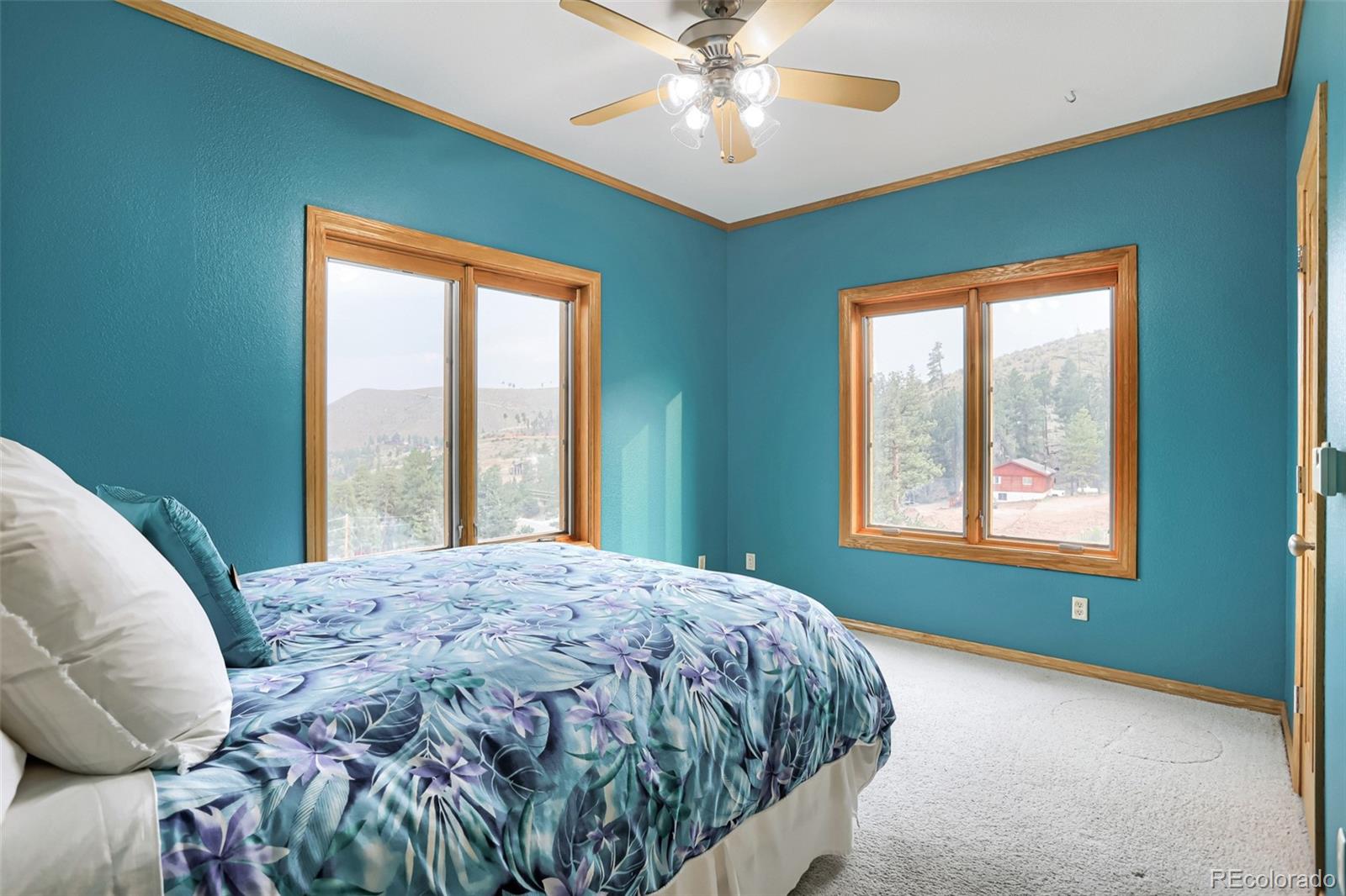 MLS Image #28 for 15479  ouray road,pine, Colorado