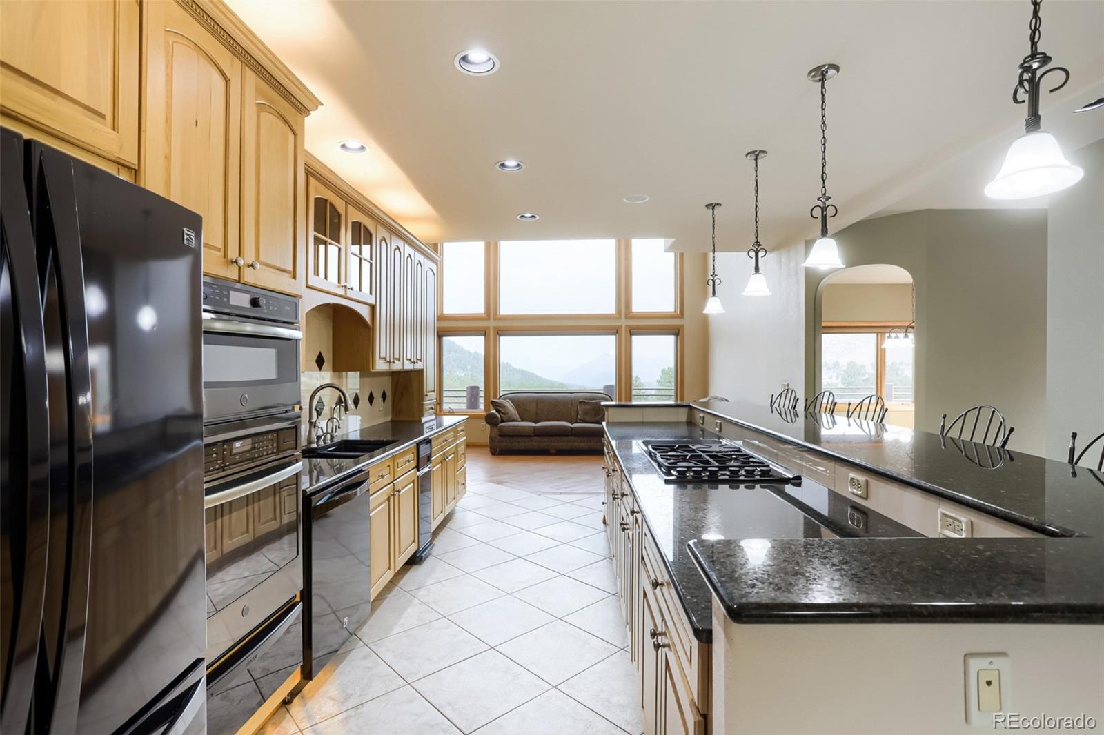 MLS Image #4 for 15479  ouray road,pine, Colorado