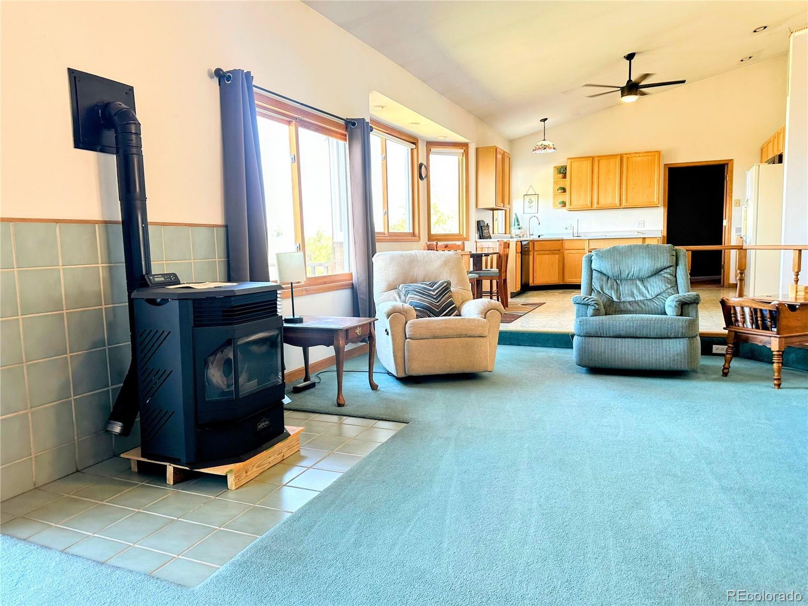 MLS Image #14 for 105  indian hill road,mosca, Colorado