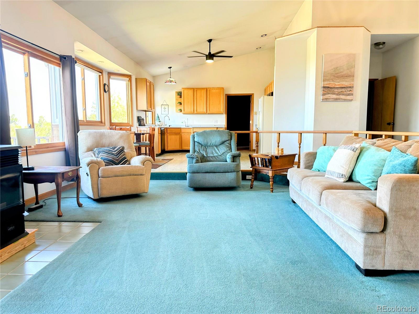 MLS Image #16 for 105  indian hill road,mosca, Colorado