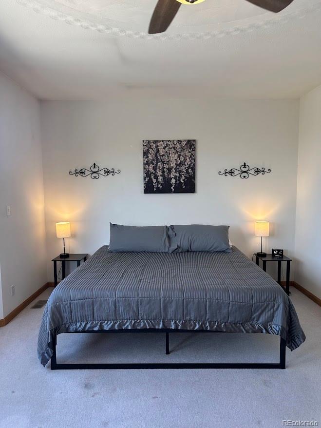 MLS Image #24 for 105  indian hill road,mosca, Colorado