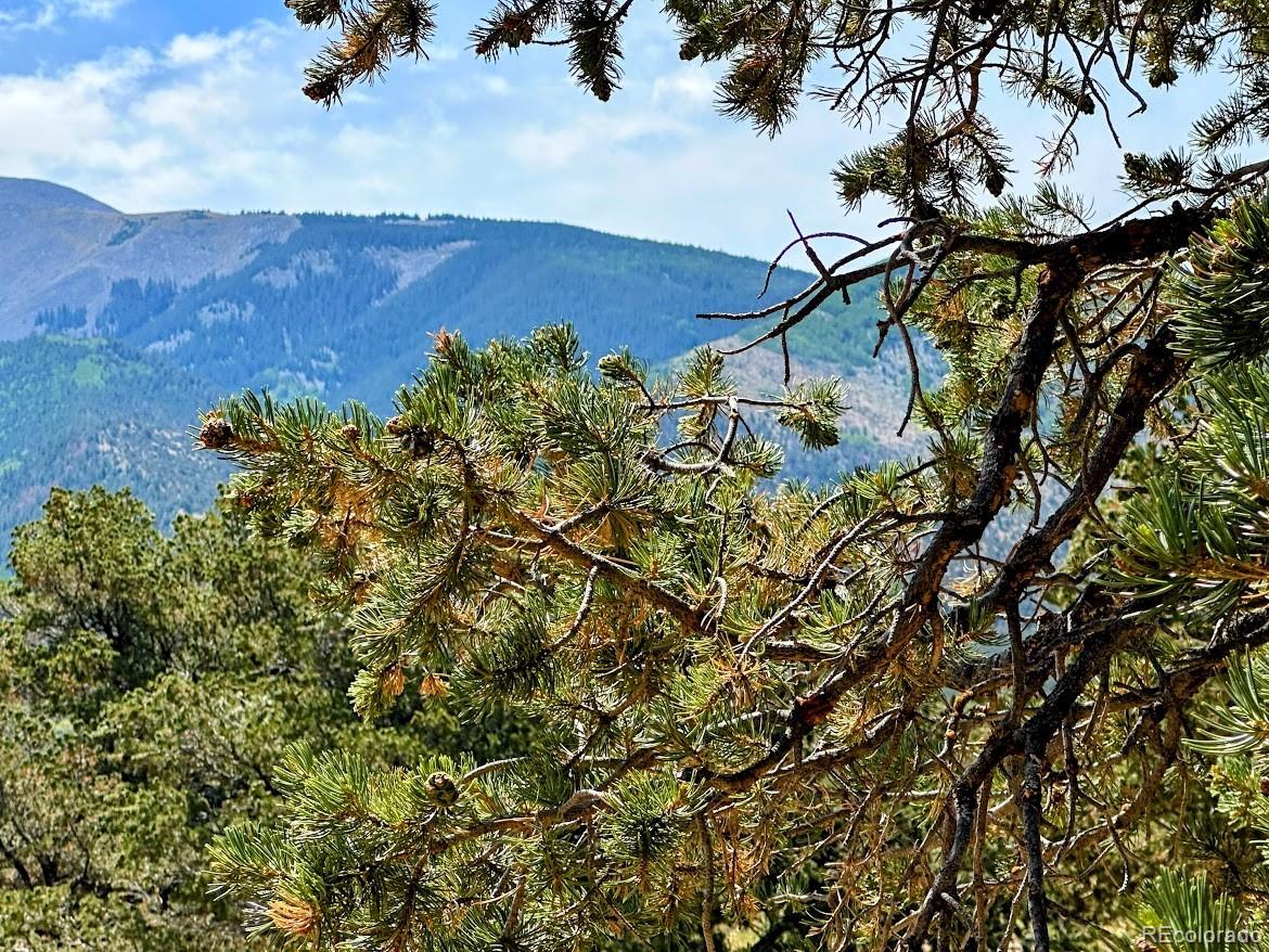 MLS Image #35 for 105  indian hill road,mosca, Colorado
