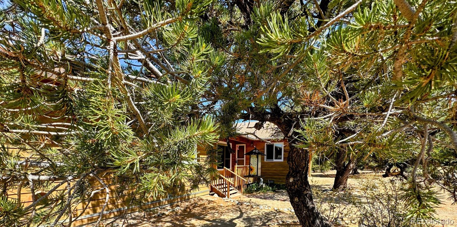 MLS Image #37 for 105  indian hill road,mosca, Colorado