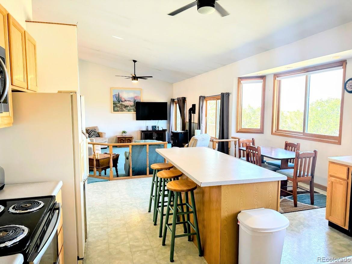 MLS Image #9 for 105  indian hill road,mosca, Colorado