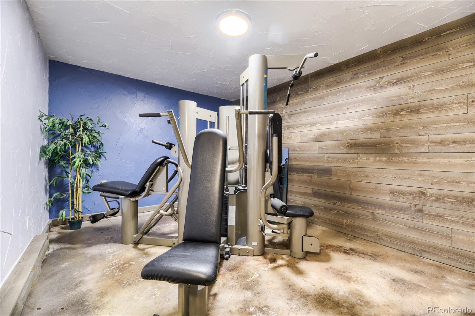 MLS Image #11 for 54  zaza lane,evergreen, Colorado