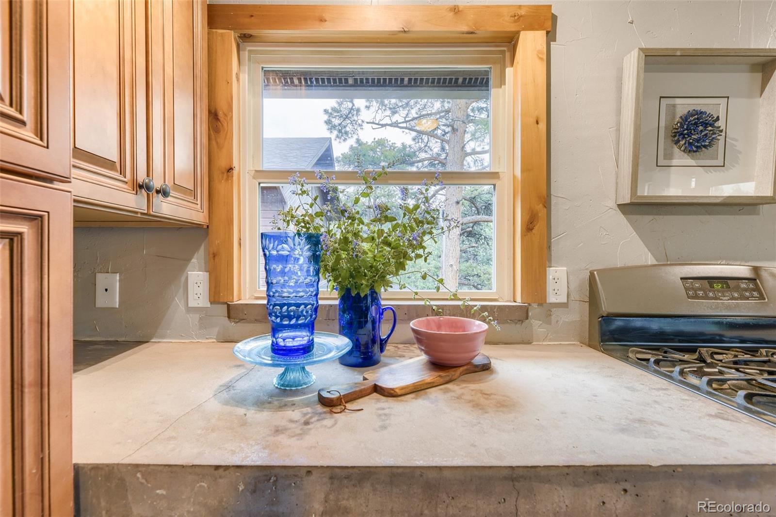 MLS Image #2 for 54  zaza lane,evergreen, Colorado