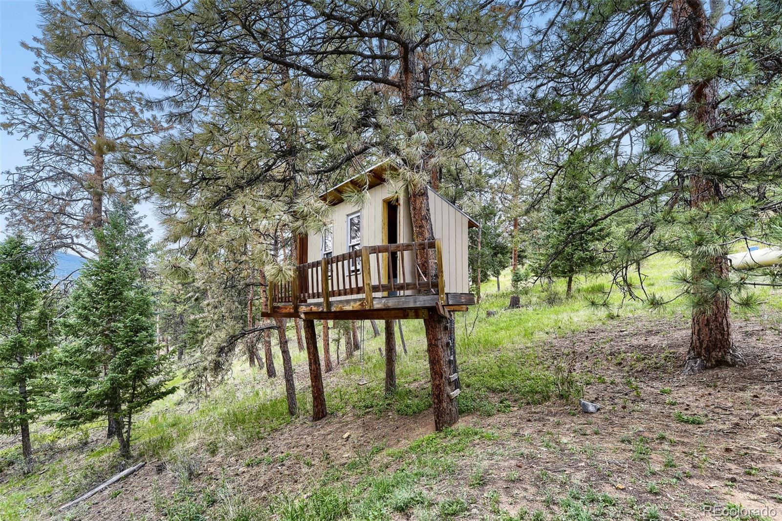 MLS Image #22 for 54  zaza lane,evergreen, Colorado