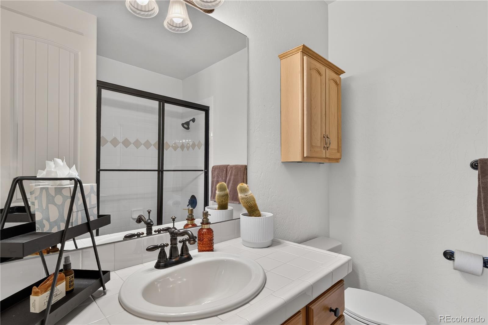 MLS Image #19 for 235  spirit way ,new castle, Colorado
